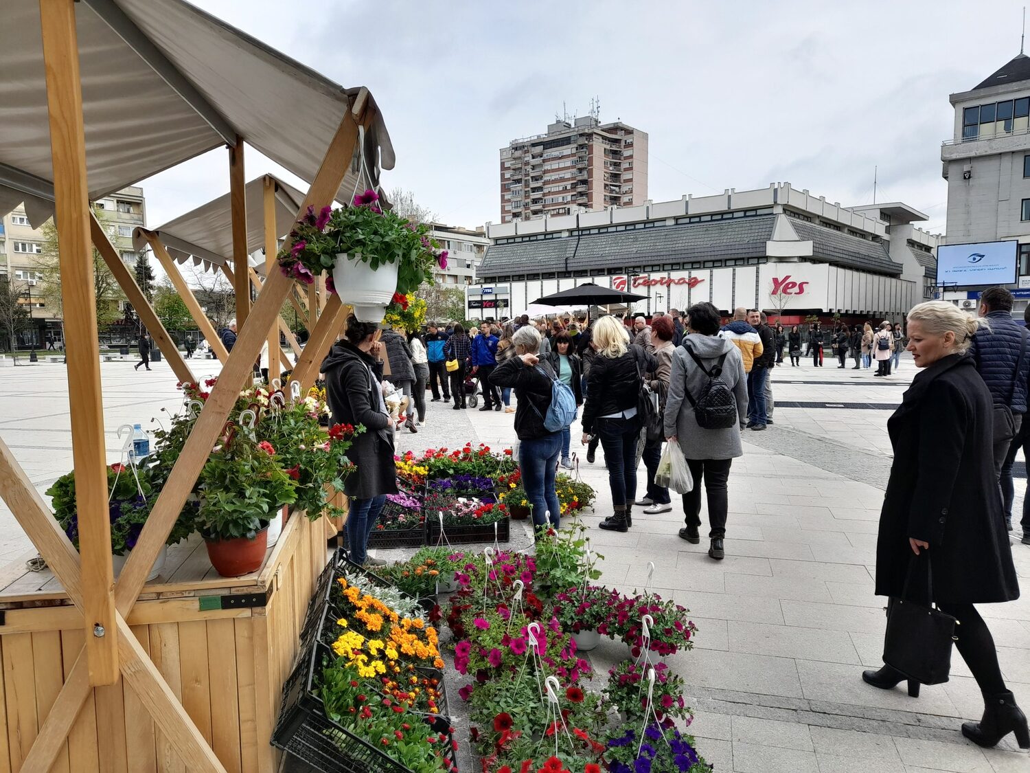 20230419 115731 scaled