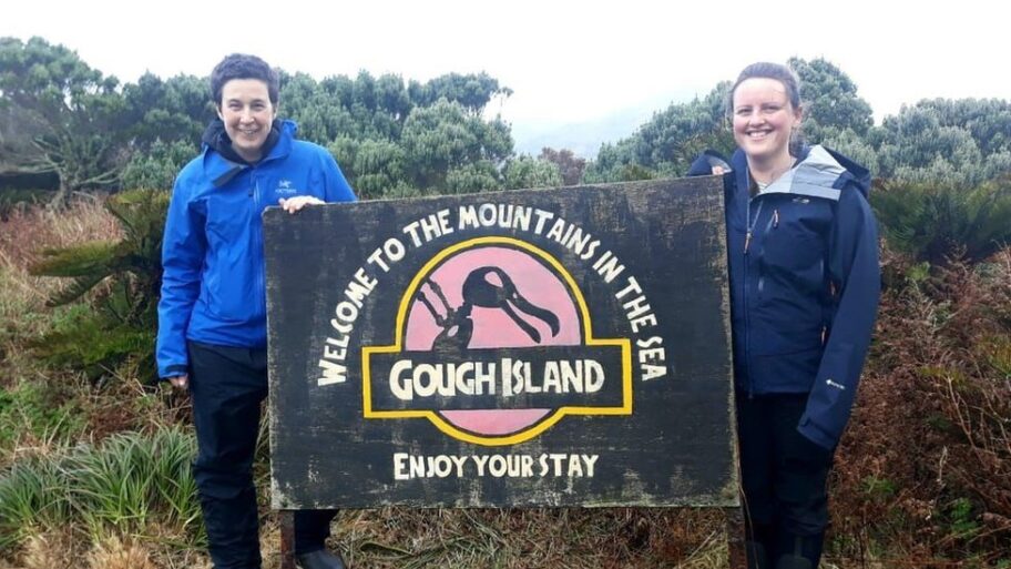 129341946 pairarrivesatgough