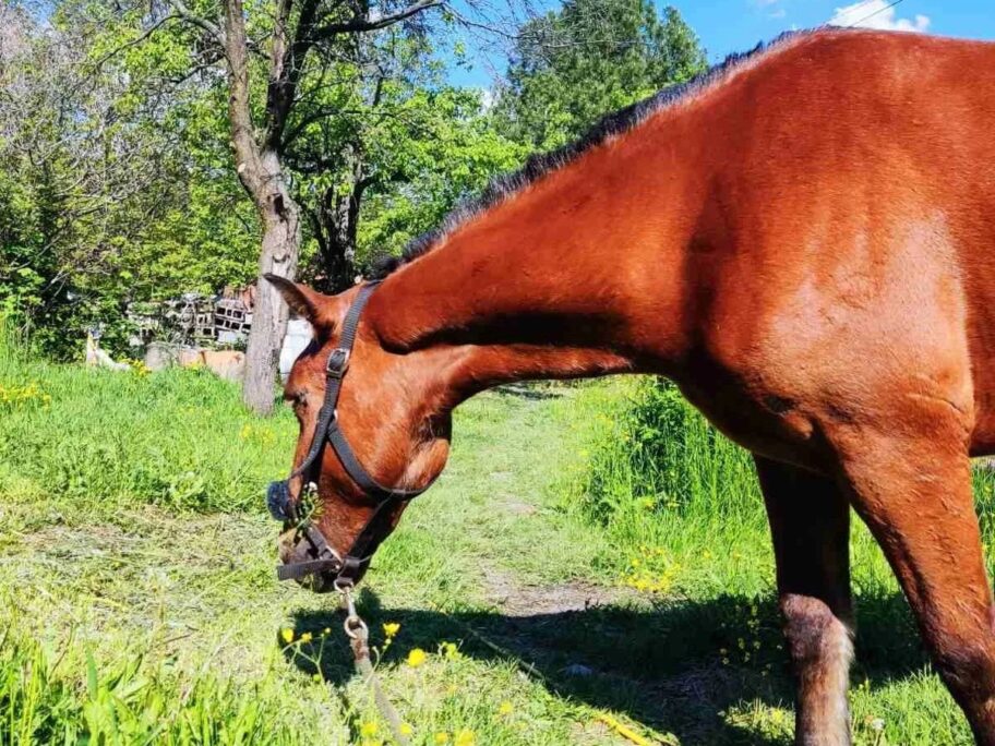 344760379 666959328626736 7701549311938629943 n