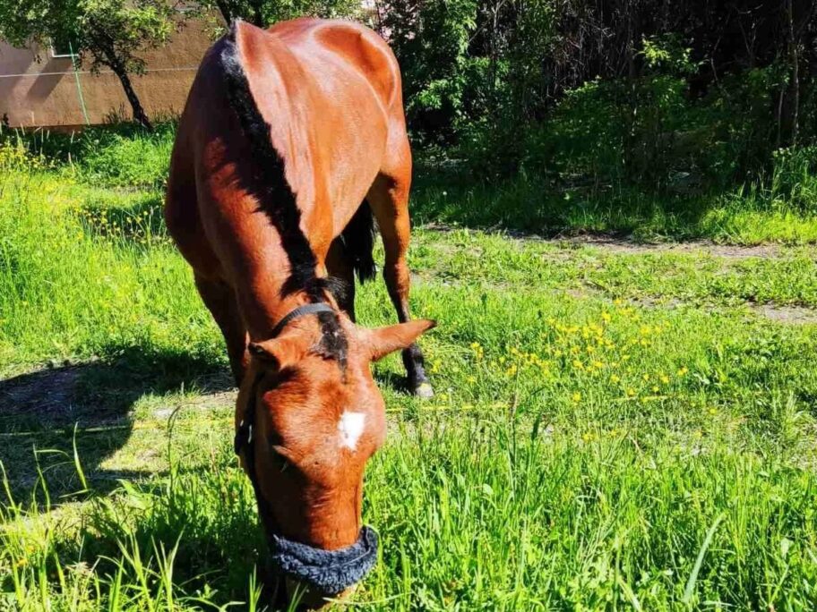 345645830 191658520376183 7983539860955708216 n