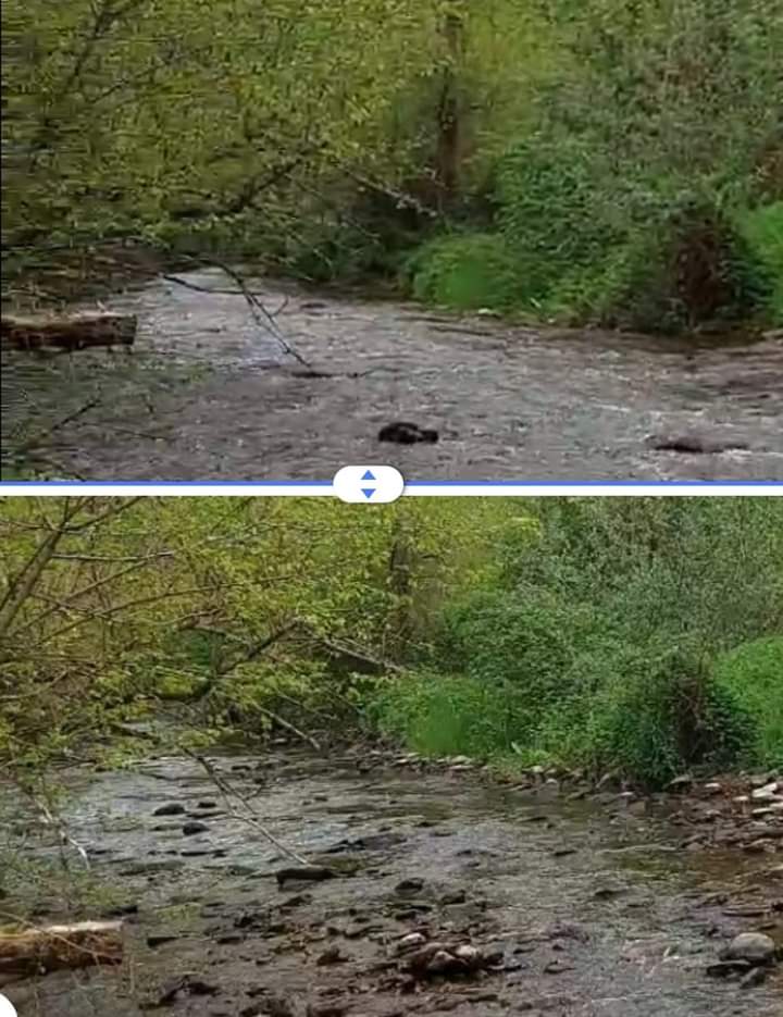 FB_IMG_1683726039316