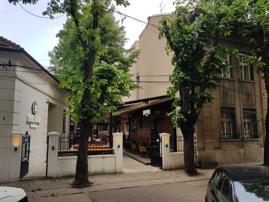 Orezane krošnje divljih kestenova u Hipi dolini - zašto i po čijem nalogu 12 received 1287712268817261