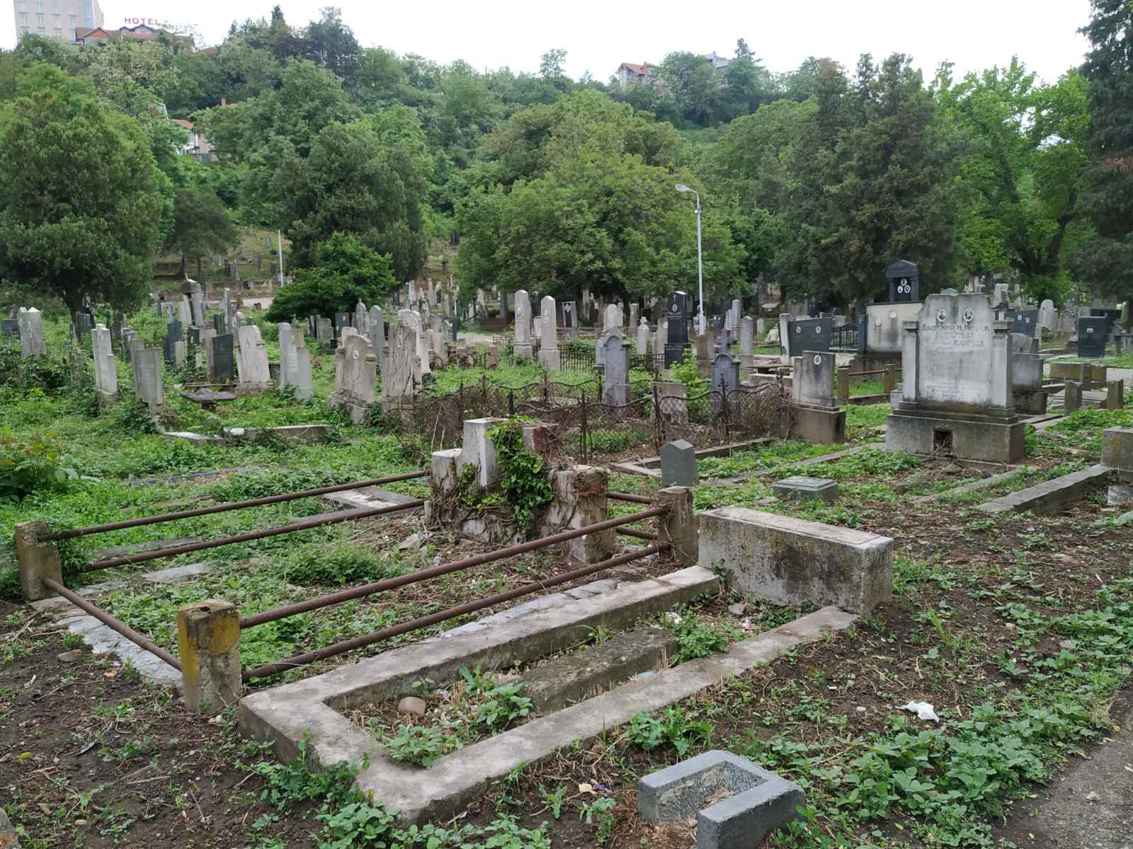 IMG-1a3649ea04d3ba9c763c27b0a18c3336-V