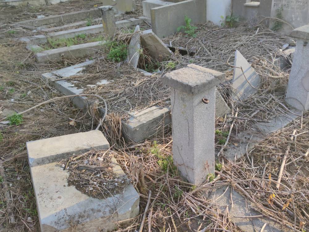 Staro groblje, čitateljka