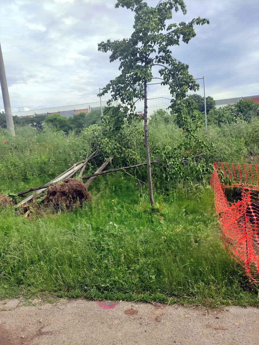 Izgradnja dalekovoda na keju 13, maj-jun 2023; foto: JV-Ljubica Jocić
