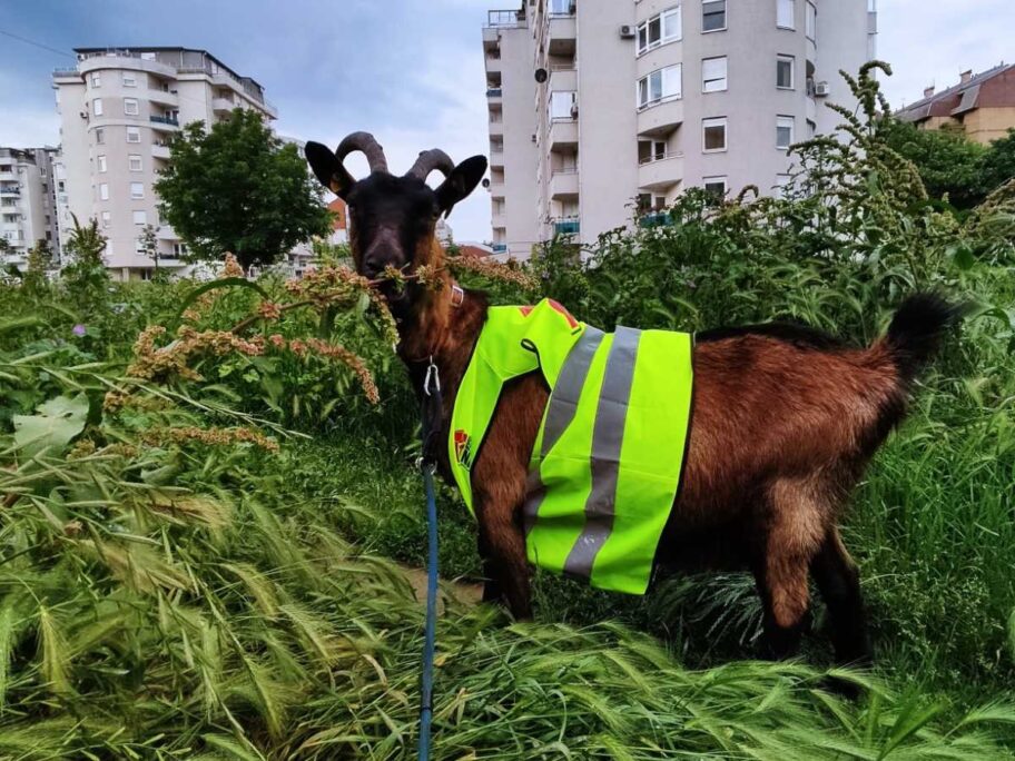 viber image 2023 06 07 10 12 00 888 1