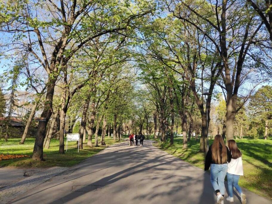 U niškoj Tvrđavi niču "mirisne klupe" 14 IMG 20230608 173010