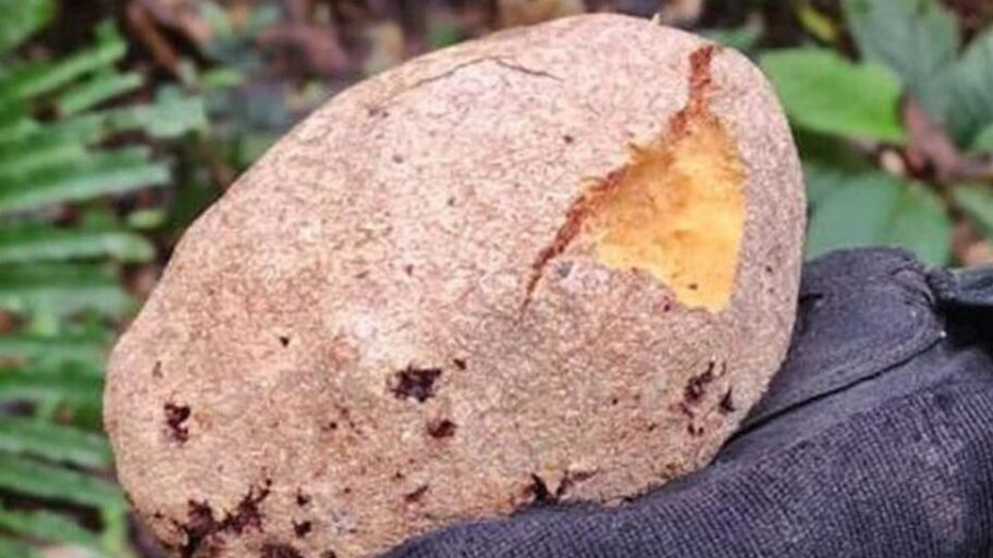 130053492 e358029affa1be6a1a40f164089f6b6d79125c4c0 0 729 1093667x1000