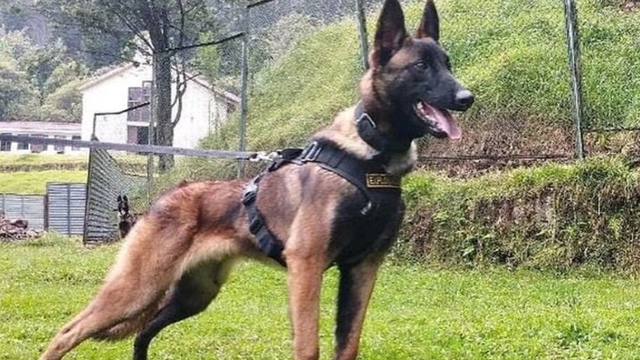 130064765 62f0c7b7 b945 4724 883f 1e781937c6b0