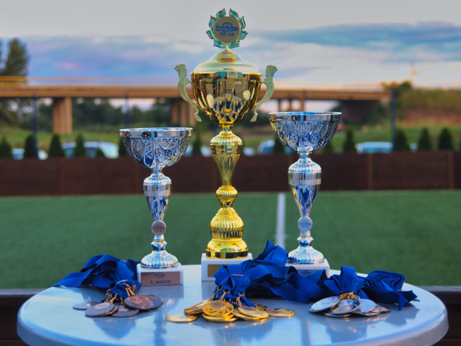 IT fudbalska liga u Nišu - humana priča sa "neslavnim" finalem 17 it liga pehari