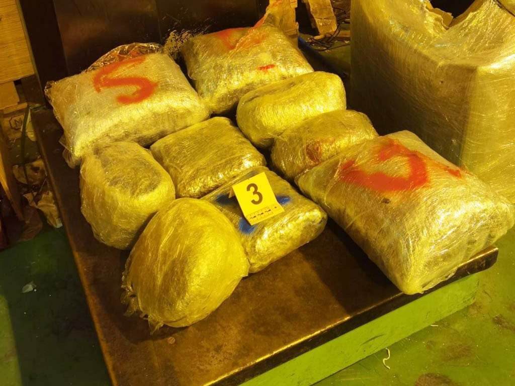 Carinici na Gradini zaplenili 71 kilogram marihuane 1 355125965 810152693855866 6378808689925624645 n