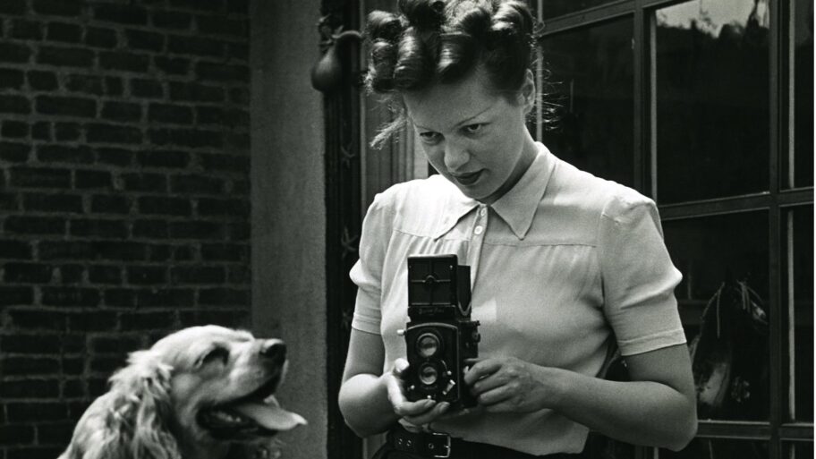 129879851 5e81aabb 78e2 436a be0d f4f1b2d525d0