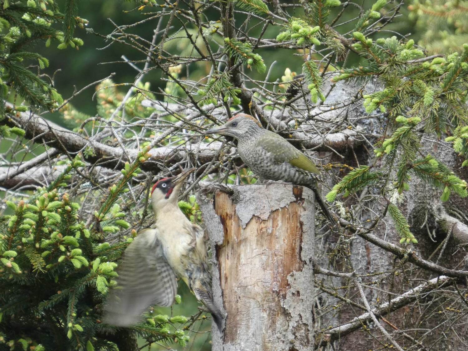 352207876_641671681238528_7351358203909905288_n