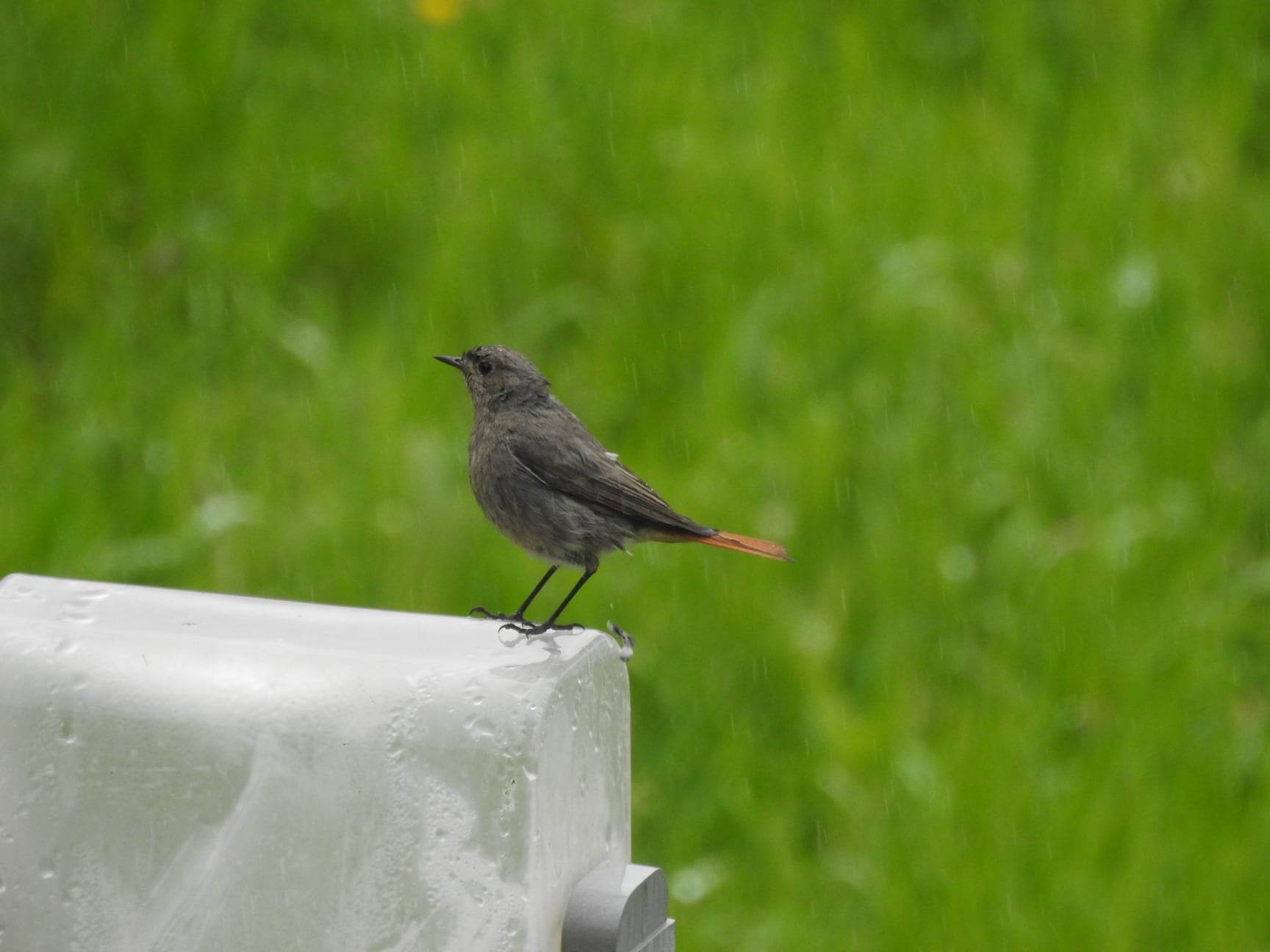 356019317_938084863912921_1390848513031672261_n