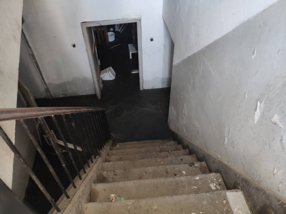 stanari obrenovićeva (4)