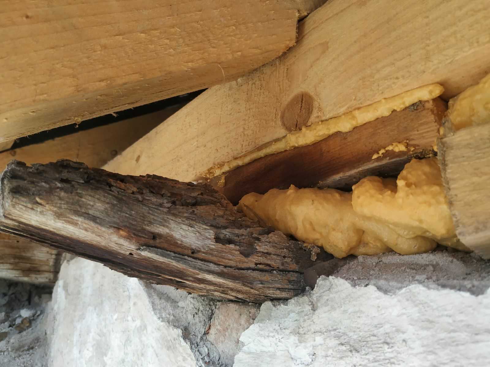 IMG-2110ccff6d09c47034442afadacb5547-V