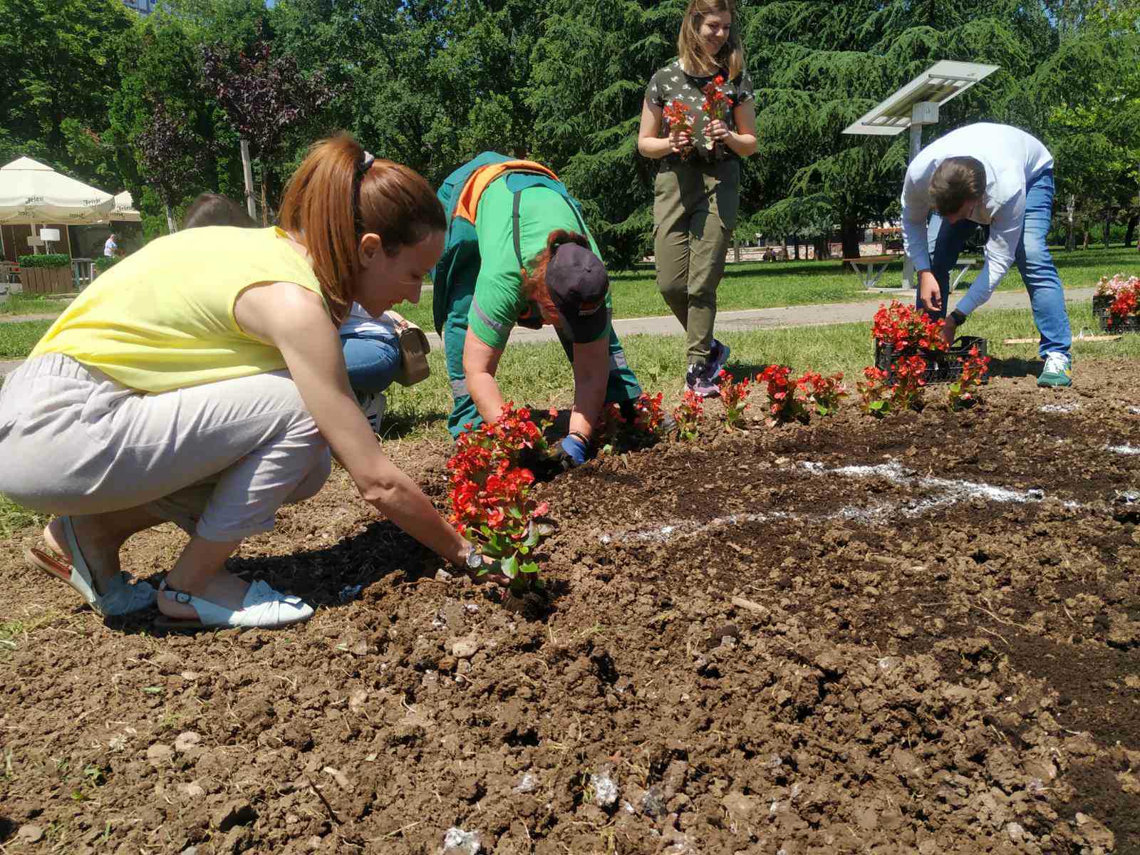 IMG-d86d53a8fab87340f859a09a1804e284-V