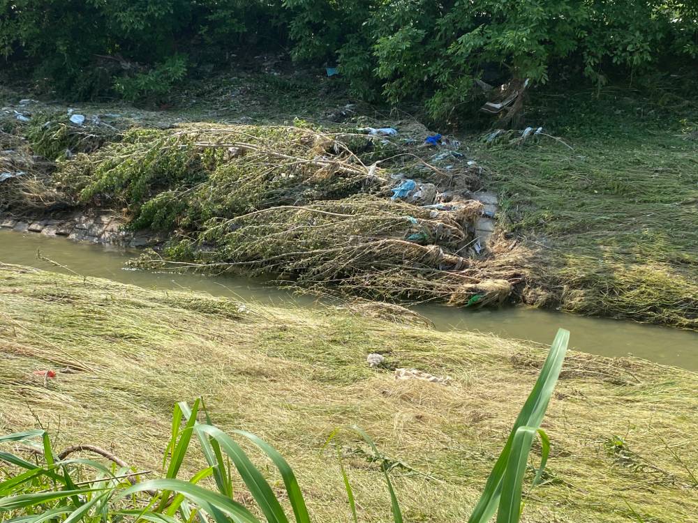 Poplave zajedničko (2)