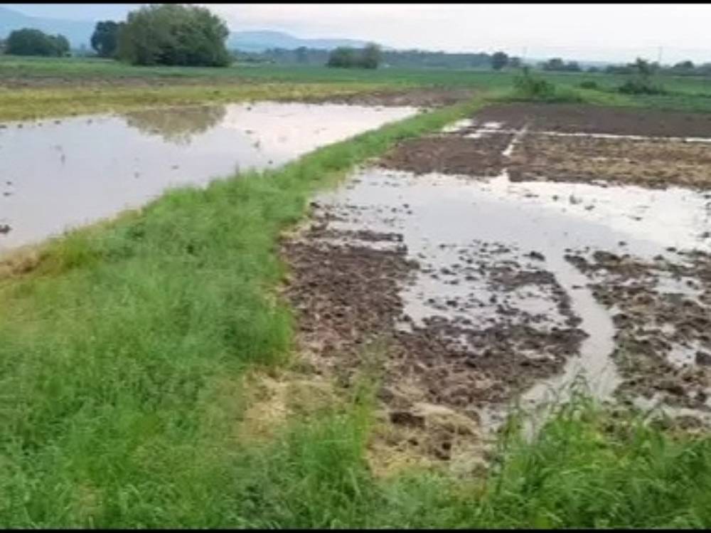 Poplave zajedničko (5)