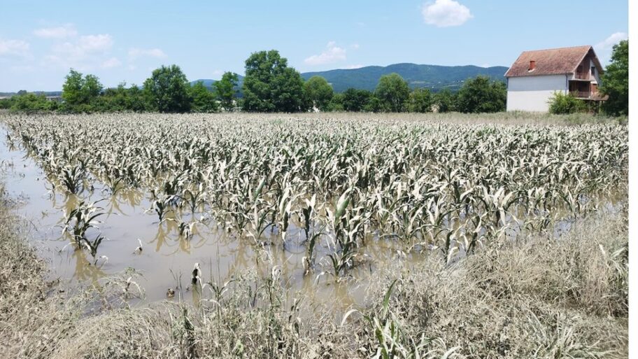 Poplave u Srbiji: Kako obnoviti život i osušiti kuću, četvrti put u sedam godina 15 130227079 1
