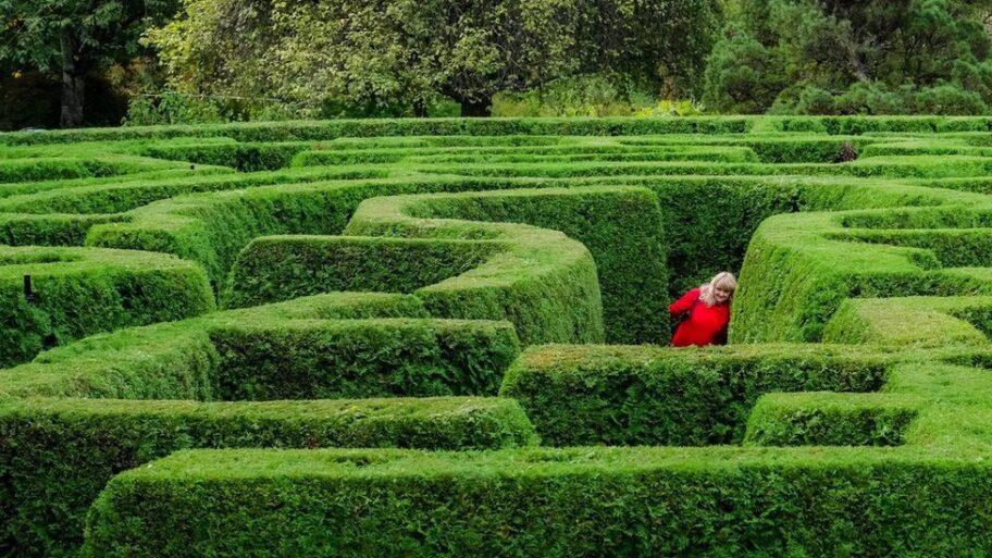 Psihologija: Kako je zaboravnost dobra za pamćenje 10 128856459 8cb9d888 777a 40d1 9175 982973d65d39