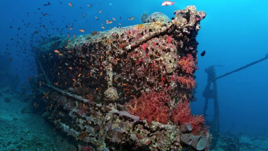 130286676 b0dc0f42 9782 448d a084 b7f741215459