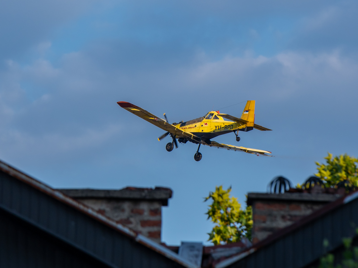 Zaprašivanje iz vazduha slika1, 10. jul 2023; foto: Marko Stojković