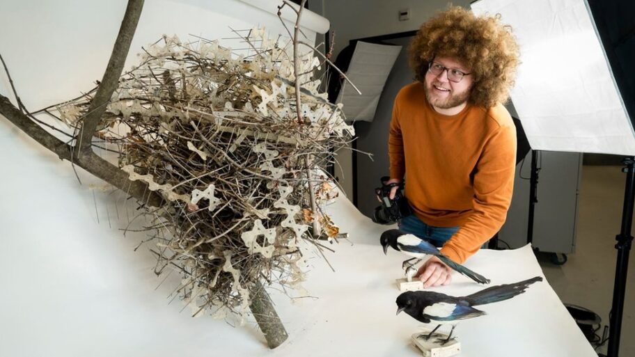 130352718 nestsandresearcher