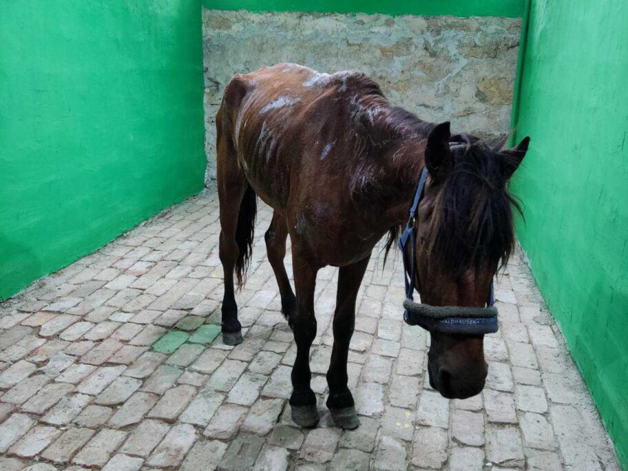 IMG a9538a6964ef96caa2889edee70f0371 V 1