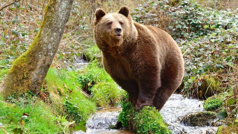 130357930 mediaitem130357929