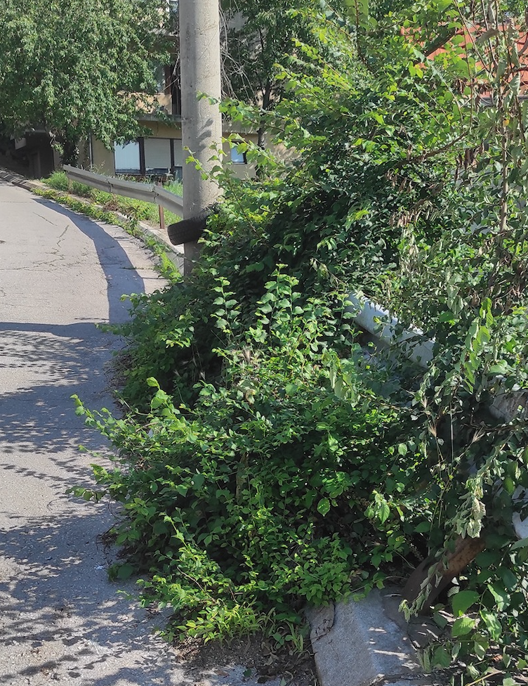 Screenshot 2023-07-18 at 12.39.07