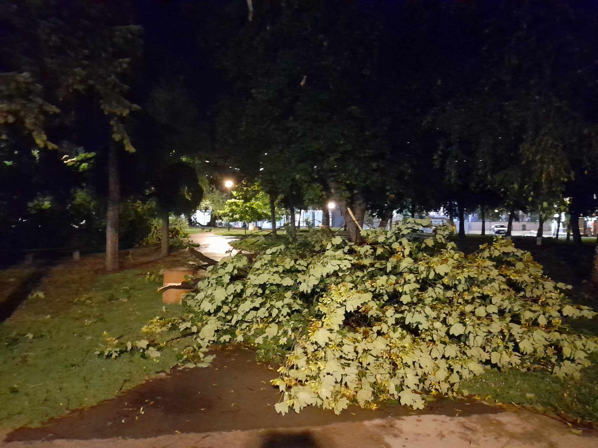 362173441_293778473154226_6594602918951353856_n