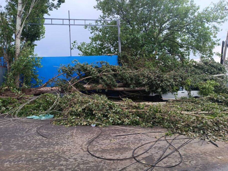 Dan posle oluje - delovi Niša bez struje, poplave, krov na ulici i zatrpani automobili 14 nevreme 22a