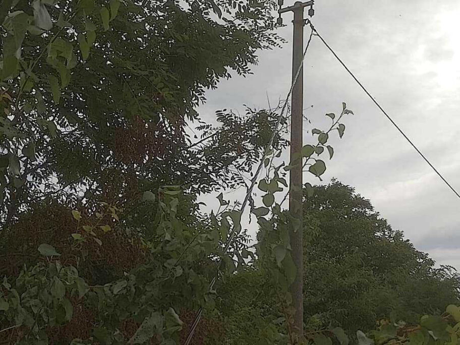 Nevreme "ugasilo" i struju na više lokacija u Nišu i okolini 11 Oluja i struja4 foto Z F