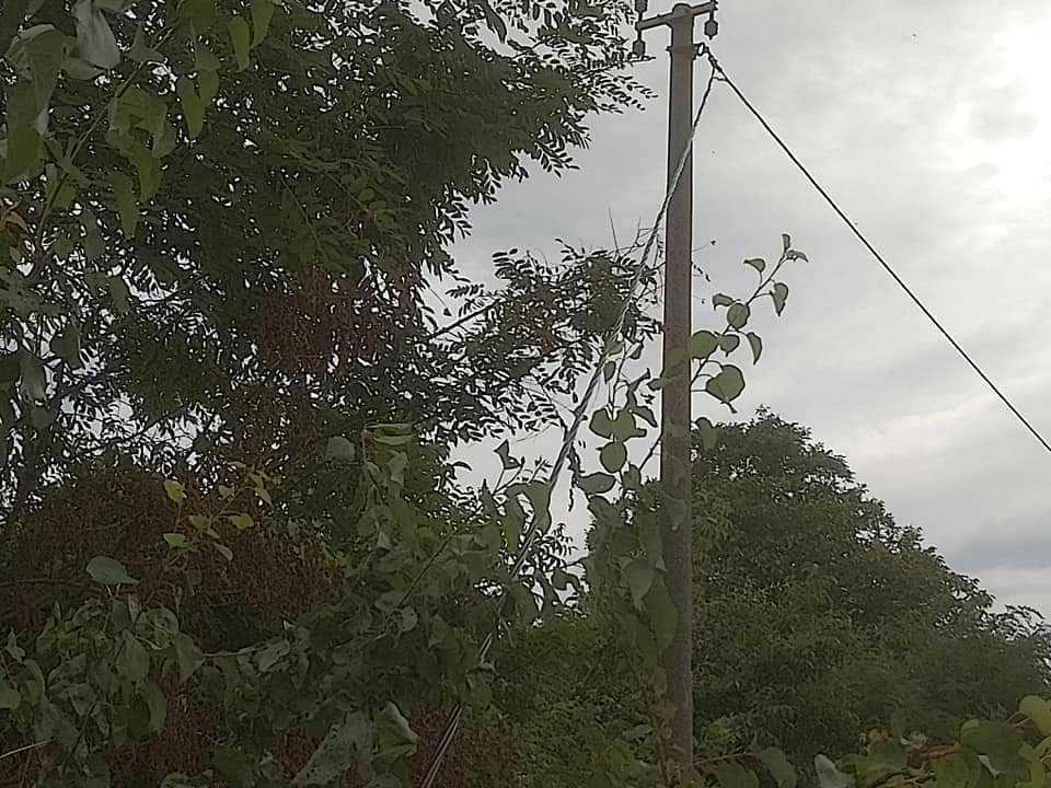 Oluja i struja4 foto Z F