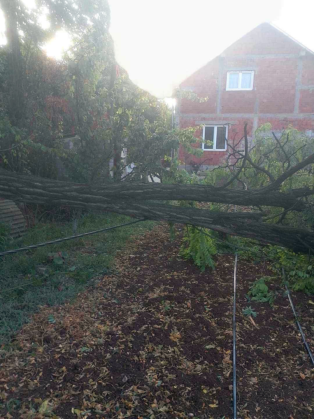 Oluja i struja3; foto: Z. F.