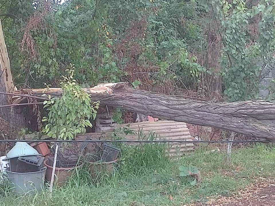I u Nišu pozivaju građane da hitno prijave štetu od julske oluje 7 Oluja i struja2 foto Z F
