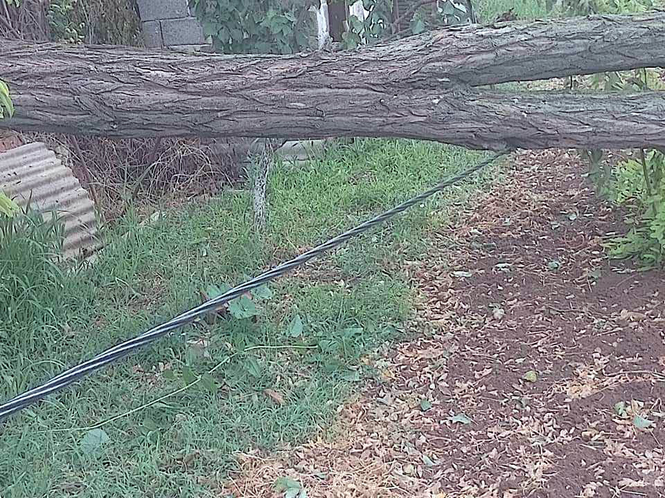 Oluja i struja1; foto: Z. F.