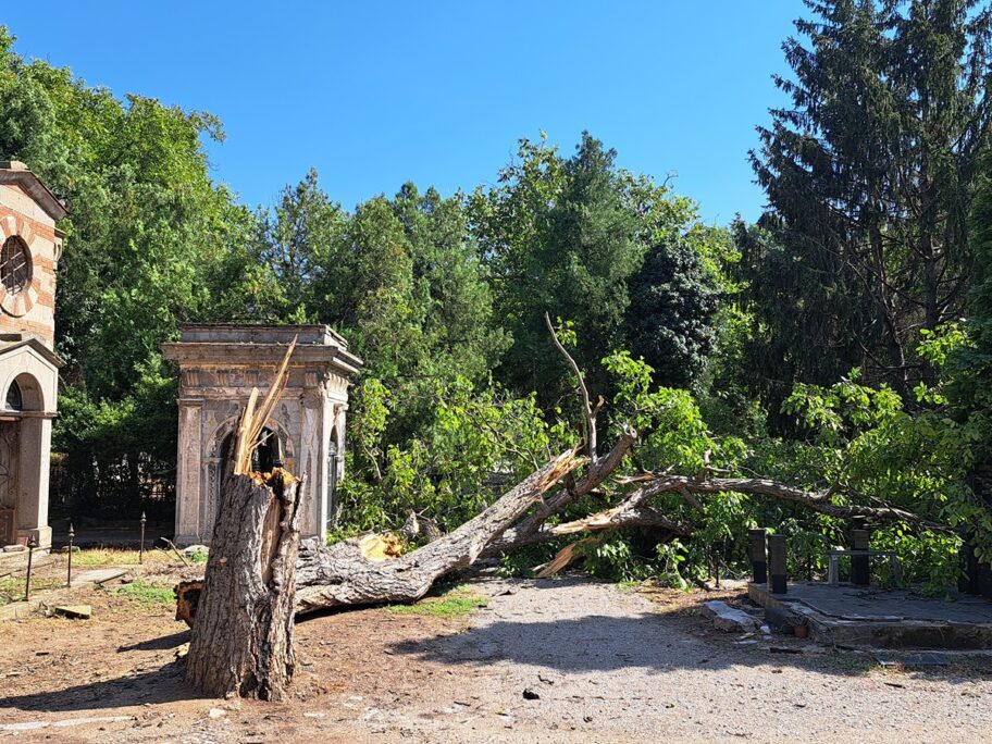 Oluja oborila spomenik Todoru Milovanoviću - borcu za oslobođenje Niša 7 spomenik
