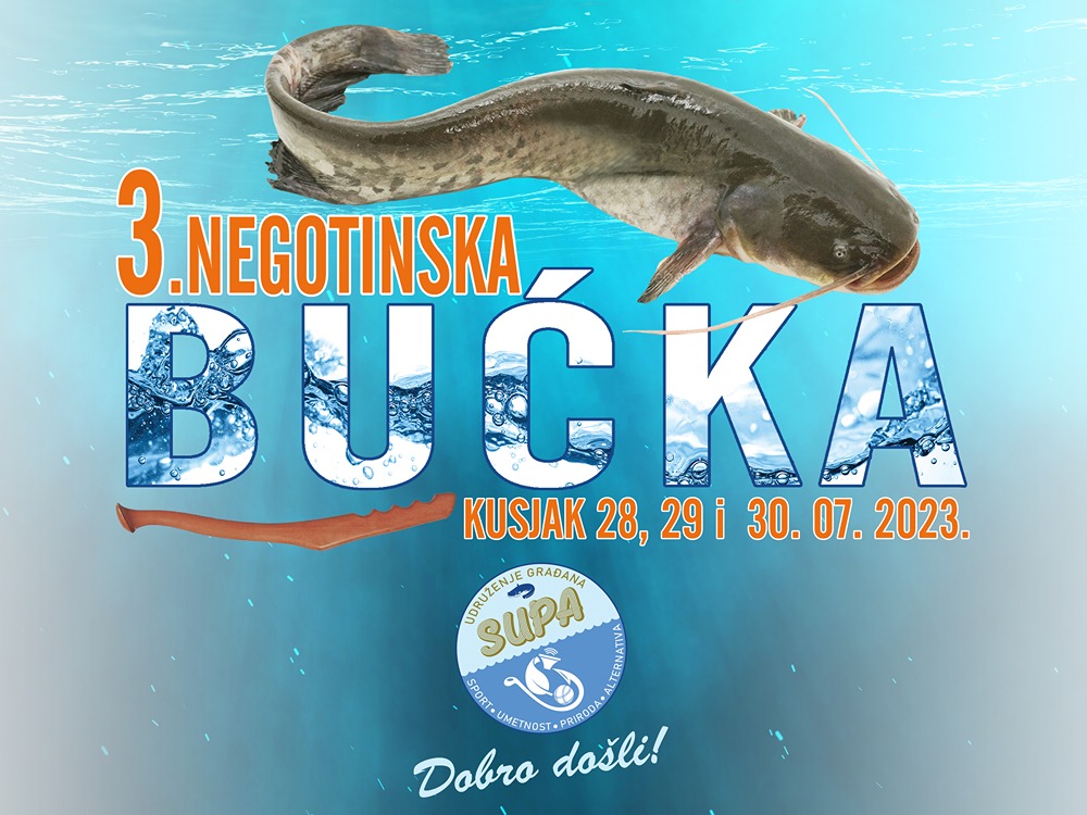 Plakat bucka 2023 2