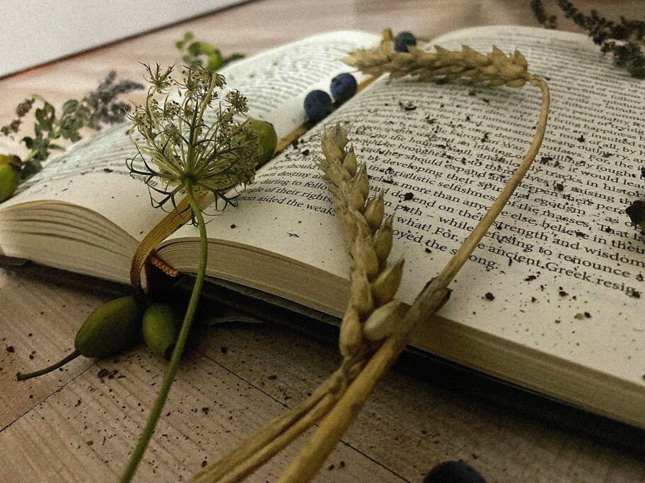 BeautyPlus 20220813151703892 save