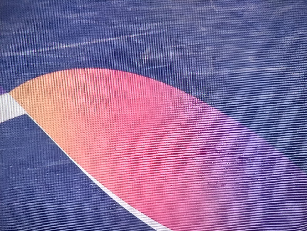 hala cair, kisa, foto ljubica jocic