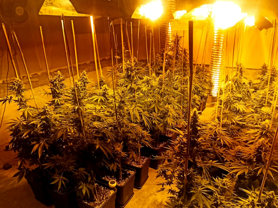 hapšenje prokuplje droga