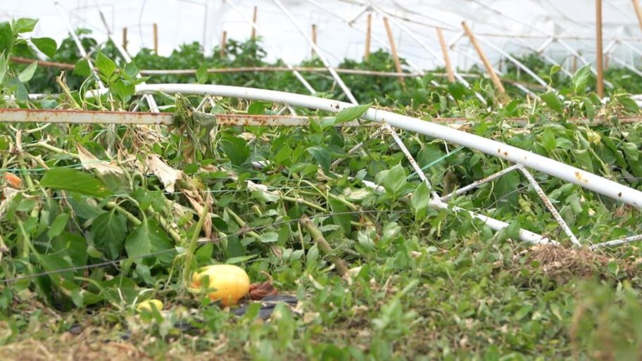 130527122 28f85f7b 2781 420a a4ad 8fe455074e24