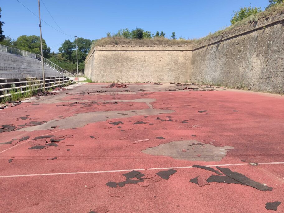 MVIMG 20230803 134100 scaled