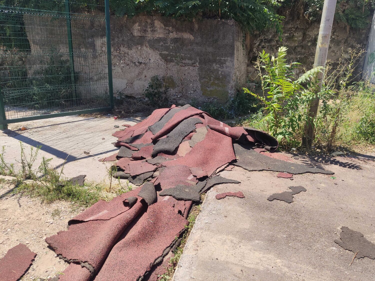 MVIMG_20230803_134107