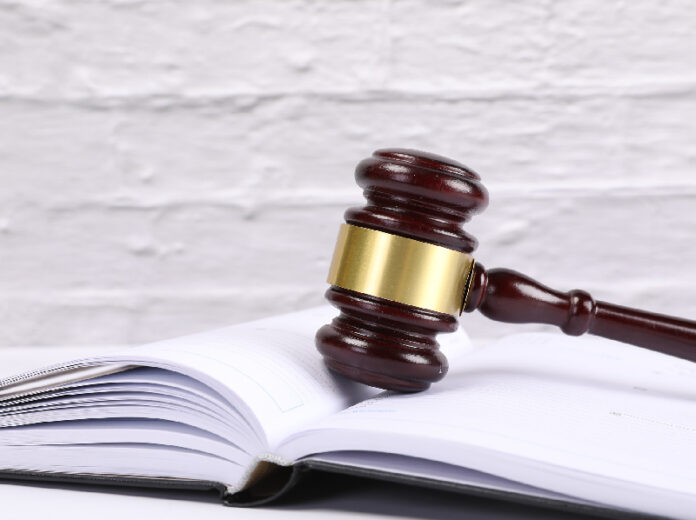 cekic sudija licitacija foto Jernej Furman Flickr