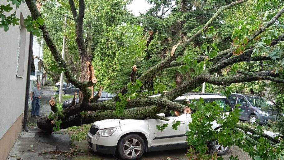 130672150 img 20230806 091959 1 b