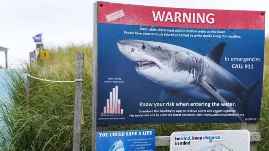 130694875 c7d396b5 3346 457e 9e73 30ef19485aaa