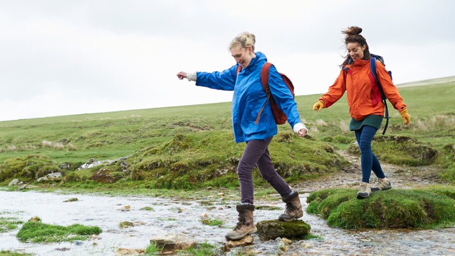 130692843 walkers gettyimages 560451595